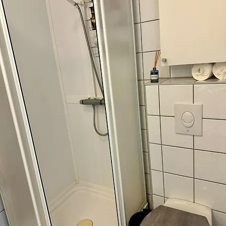 Heiberg's Bodø
