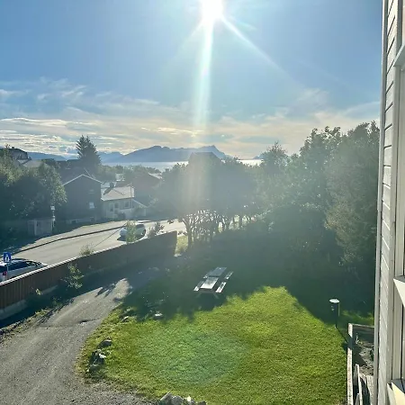 Heiberg's Bodø